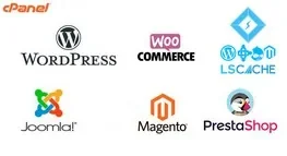 Hébergement WordPress et CMS